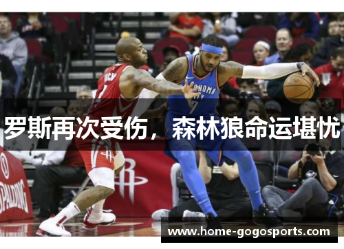 罗斯再次受伤，森林狼命运堪忧